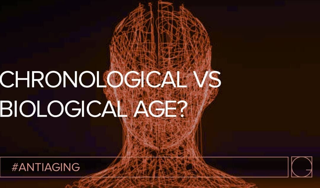 Chronological, Biological and Immunity Age: Learning how to Age at Your Own Pace