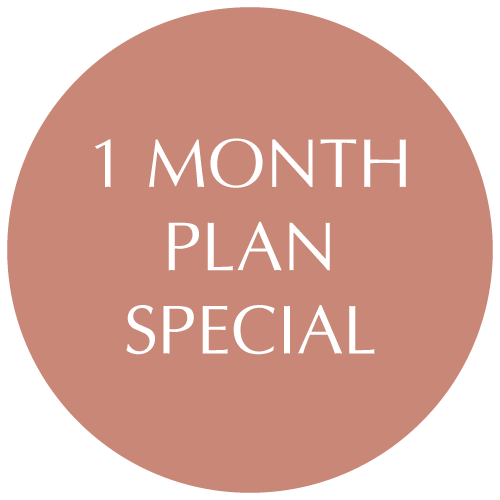 1 Month Plan Special Offer